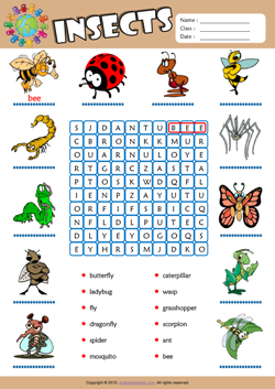 Insects ESL Printable Worksheets For Kids 1